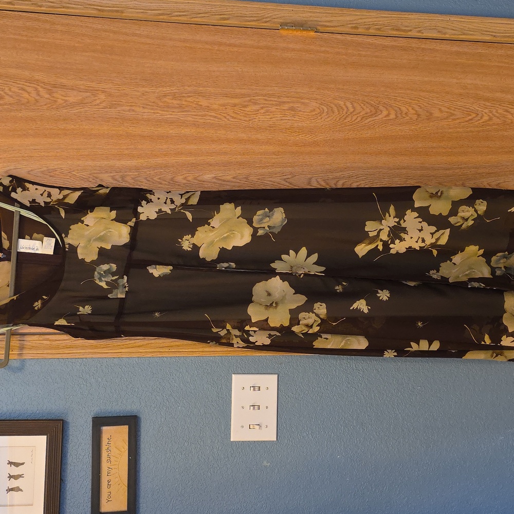 Hugo Buscati Brown And Green Slip Dress